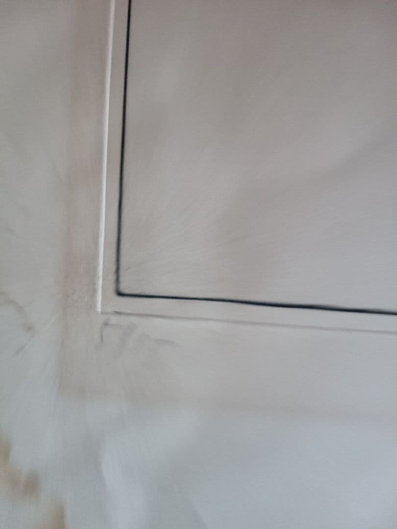 ワイズ バッシュ　作品の題名は 分かりません