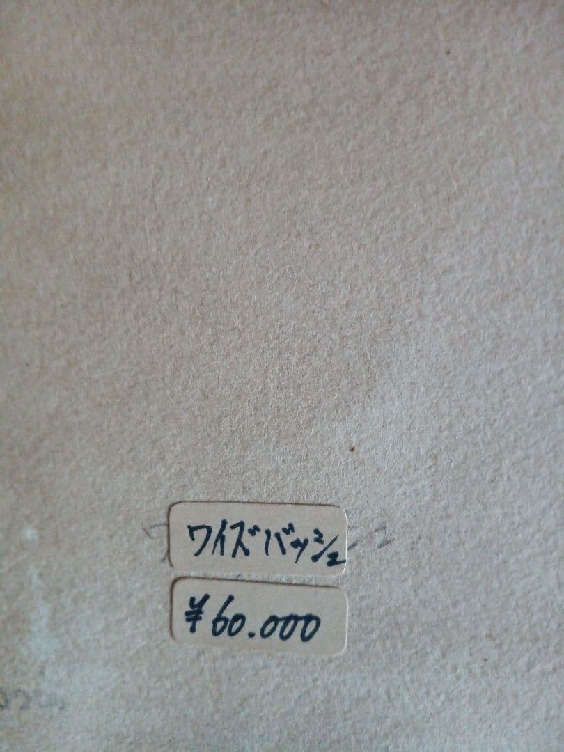 ワイズ バッシュ　作品の題名は 分かりません