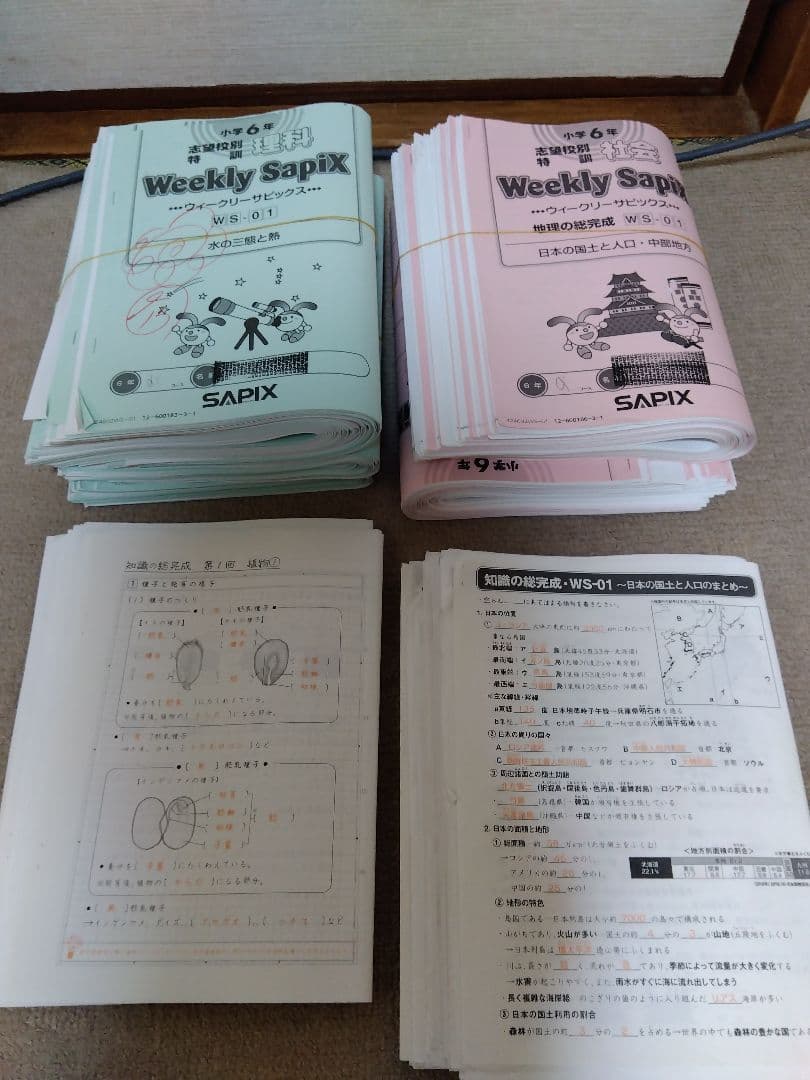 2024年度 SAPIX ウィークリーサピックス 理科・社会