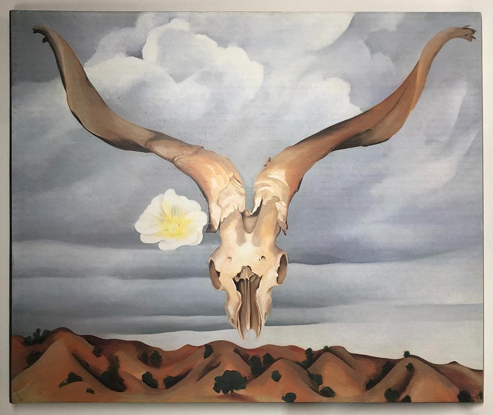 超レア・大判画集『イン・ザ・ウェスト　オキーフ画集』リブロポート刊