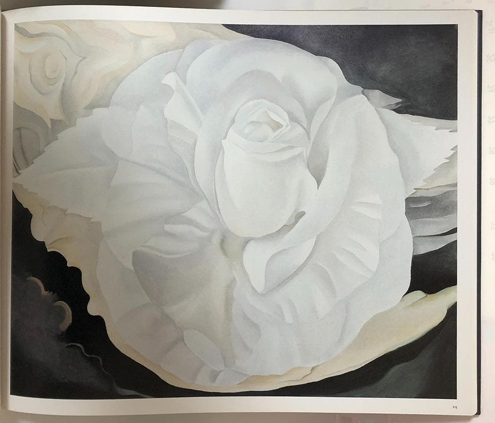 超レア・大判画集『イン・ザ・ウェスト　オキーフ画集』リブロポート刊