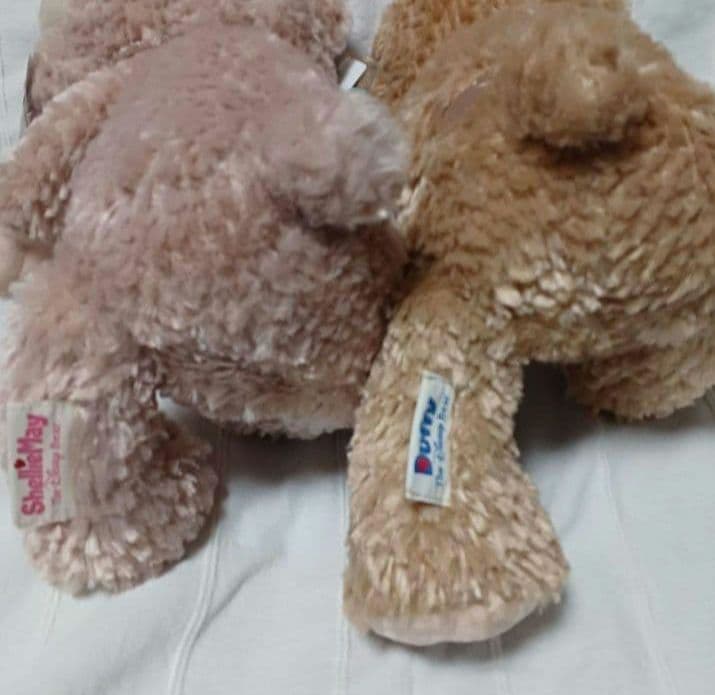 【新品】TDS ダッフィー & シェリーメイ ぬいぐるみ Sサイズ セット