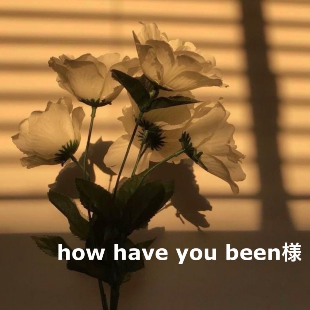 how have you been様