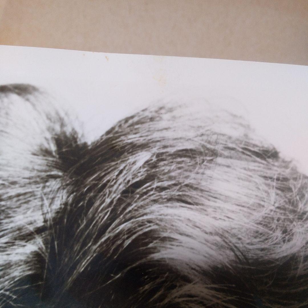 ダスティン・ホフマン　直筆サイン入り写真