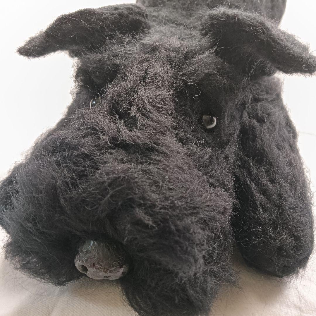 momoページです ぬぼっとまったり黒シュナウザー