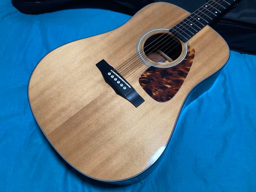 Morris M-351 NAT モーリスアコースティックギター