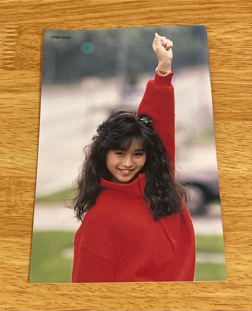 【DVD2枚•CD】本田美奈子／この歌を for you｜／MV集•ライブ映像集