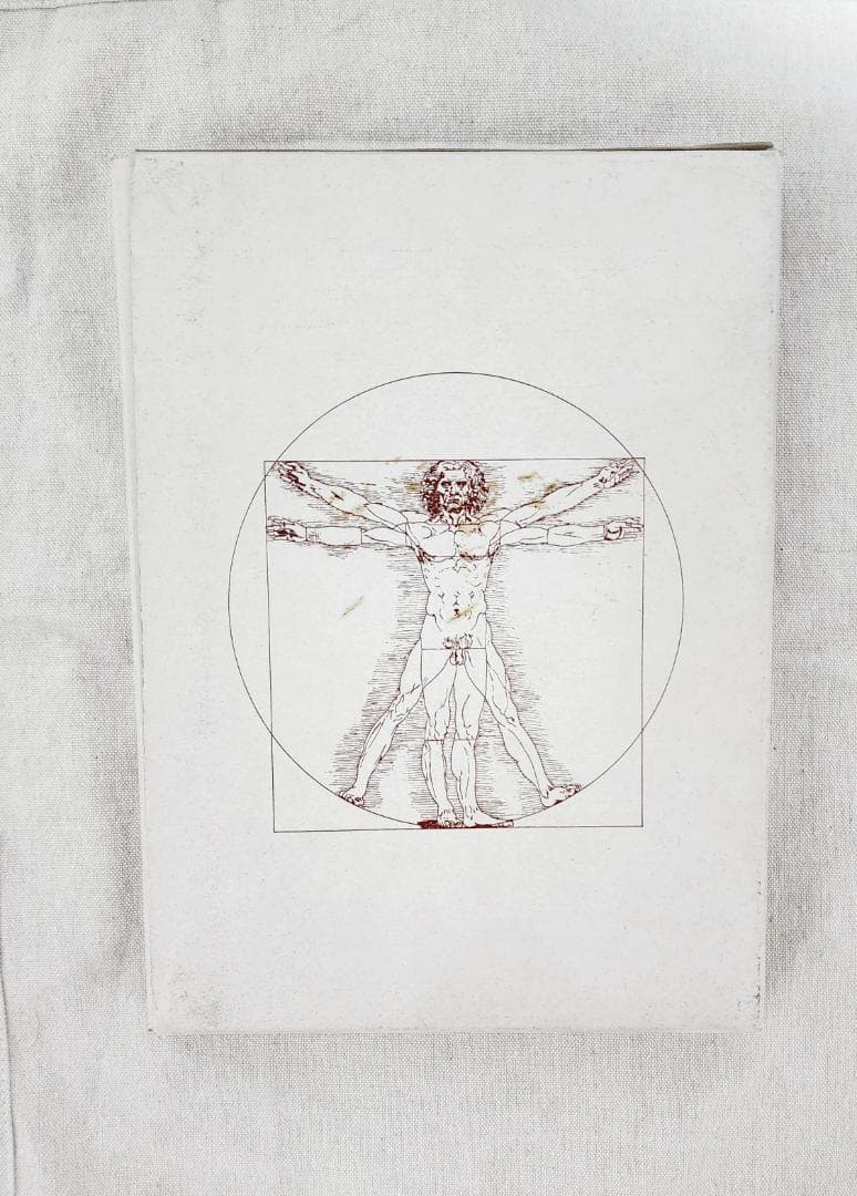 日本女性の外性器 統計学的形態論