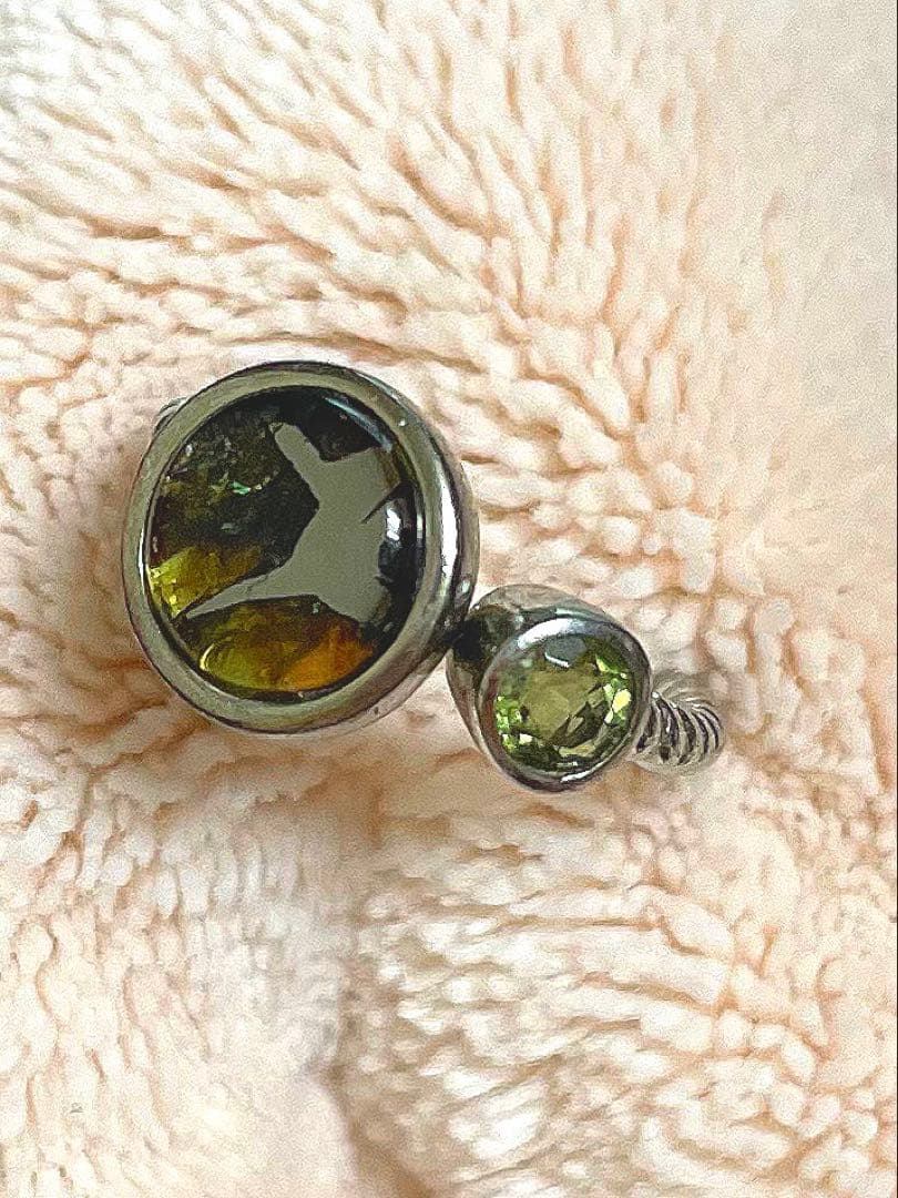 【隕石】パラサイト・モルダバイトリング