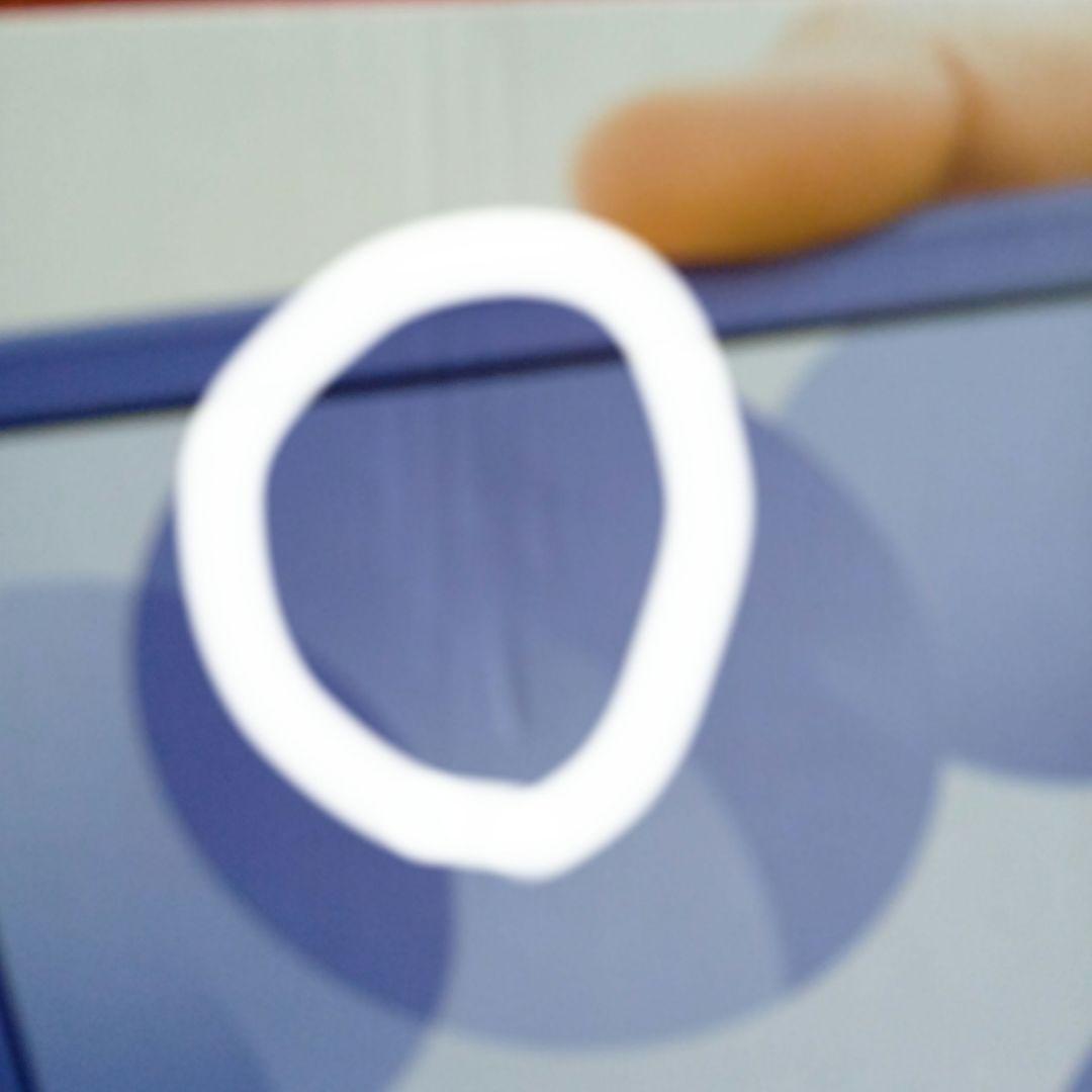 新品未使用！　Nintendo Switch Lite ブルー