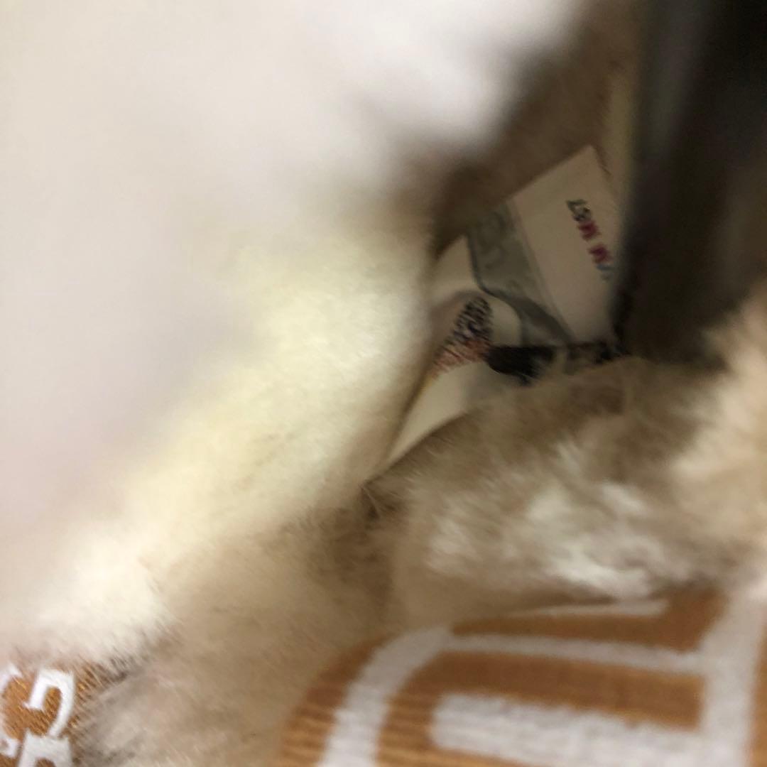 アッグUGG ムートンブーツ ベージュ　23厚底　スリッポン　Funkette