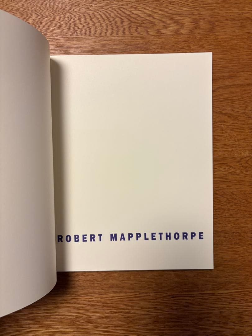 アート・デザイン・音楽 ROBERT MAPPLETHORPE EARLYWORKS