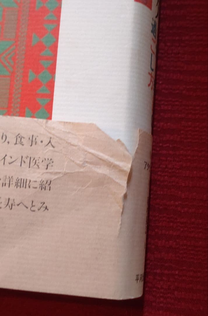 【激レア!!平成初期の書籍】アーユルヴェーダ 日常と季節の過ごし方　平河出版社