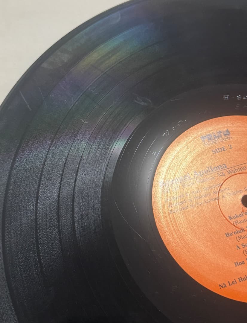 その他 LP Haunani Apolina/Na Lei Hulu Makua, ..