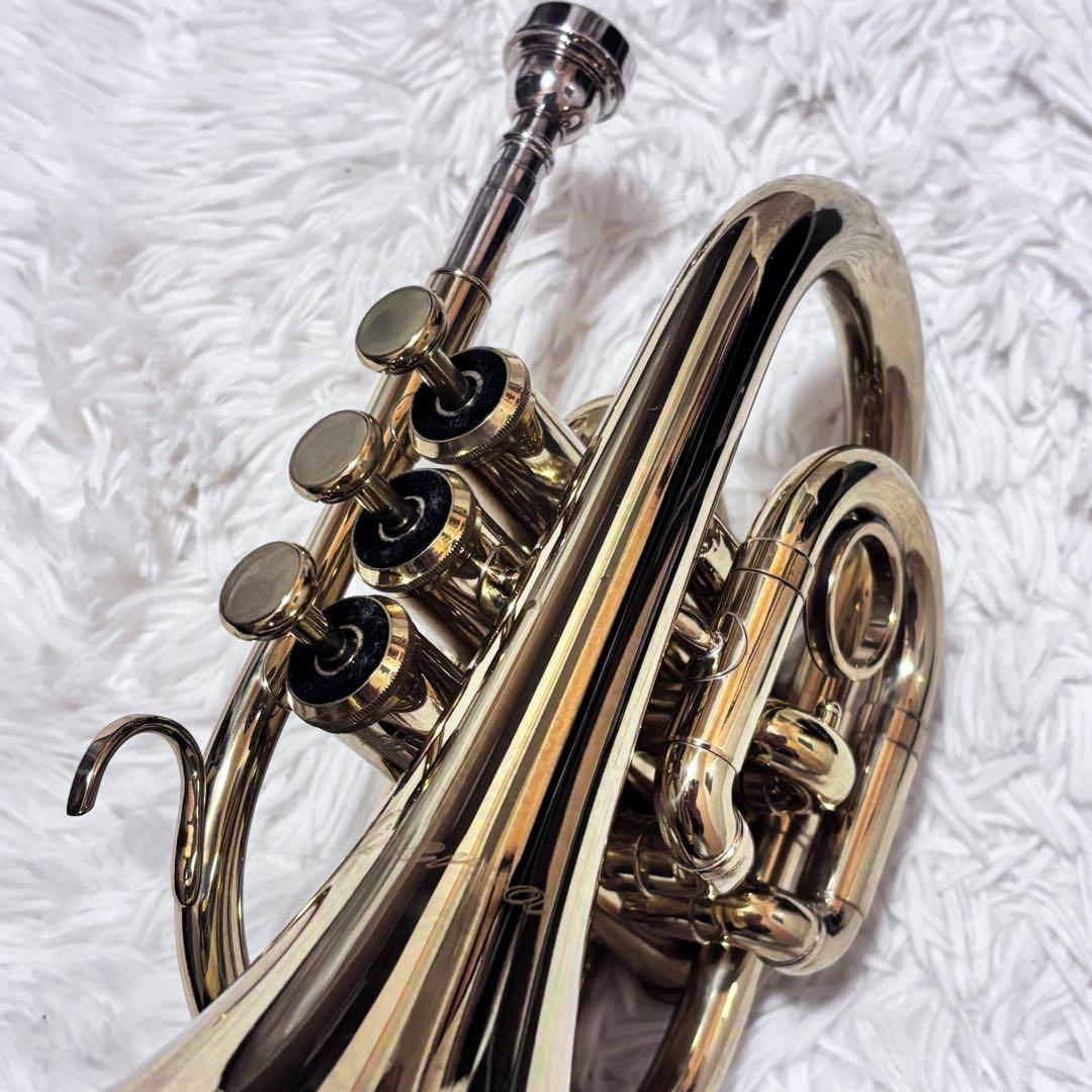 ポケットトランペット MPT100L Minerva ケース付き 金色　ラッカー