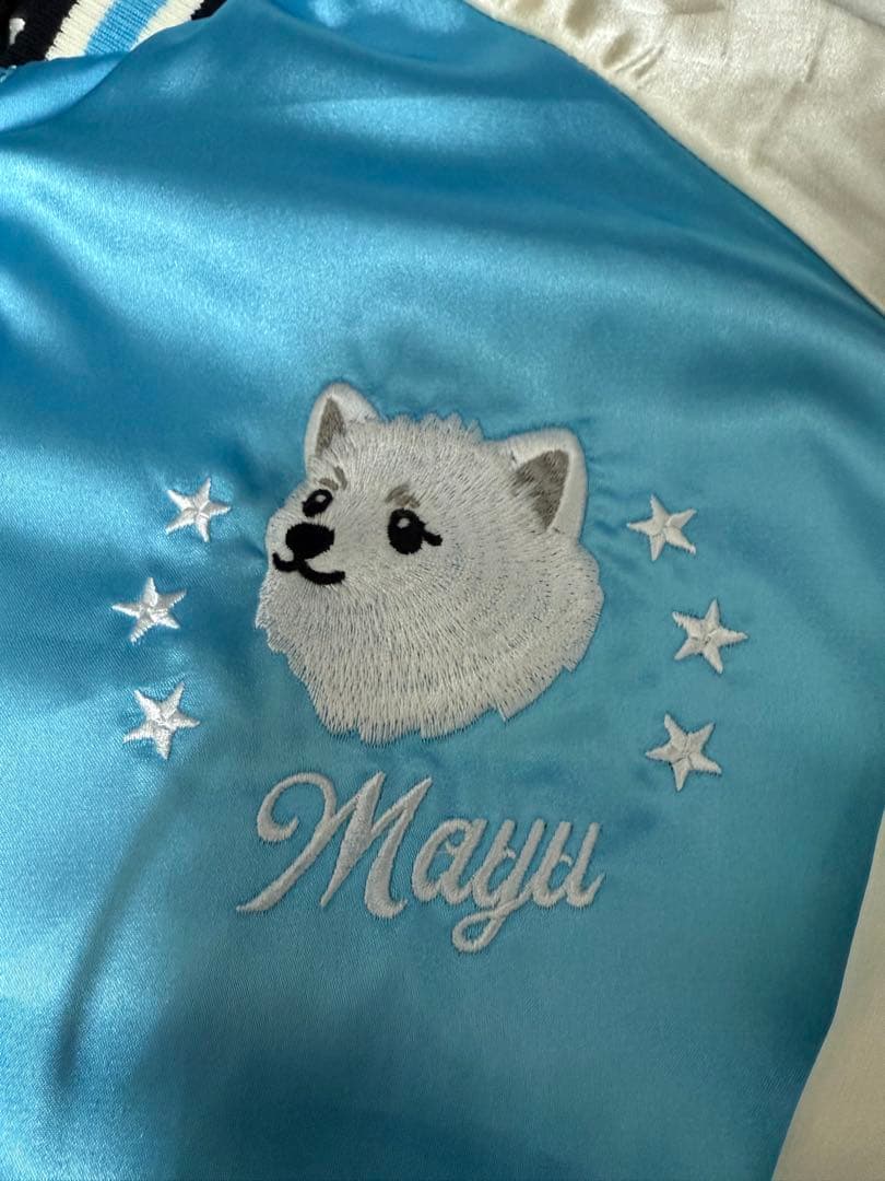 岩谷麻優 ポチスカジャン2024