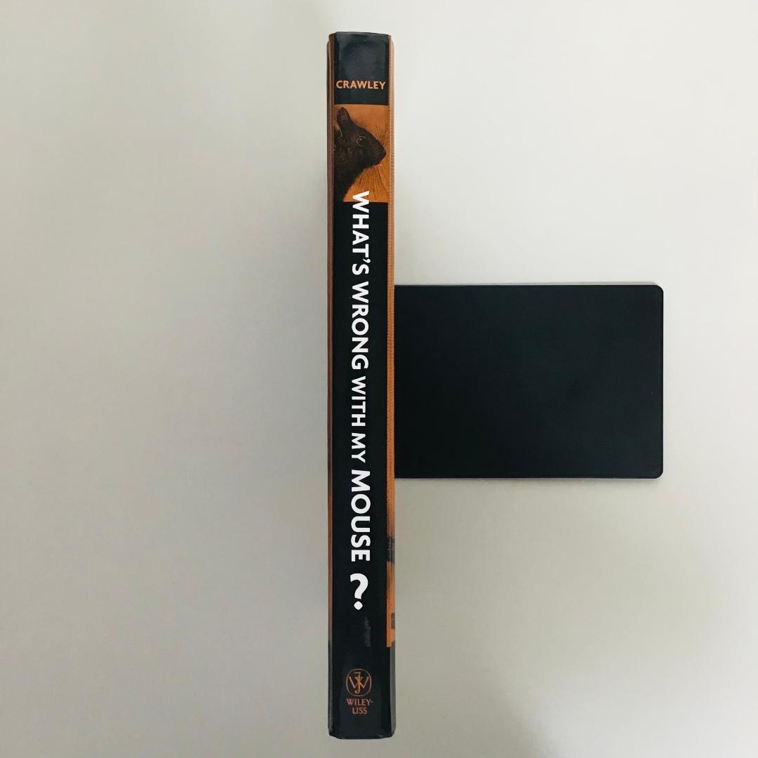 【洋書・美品】What's Wrong with my Mouse?