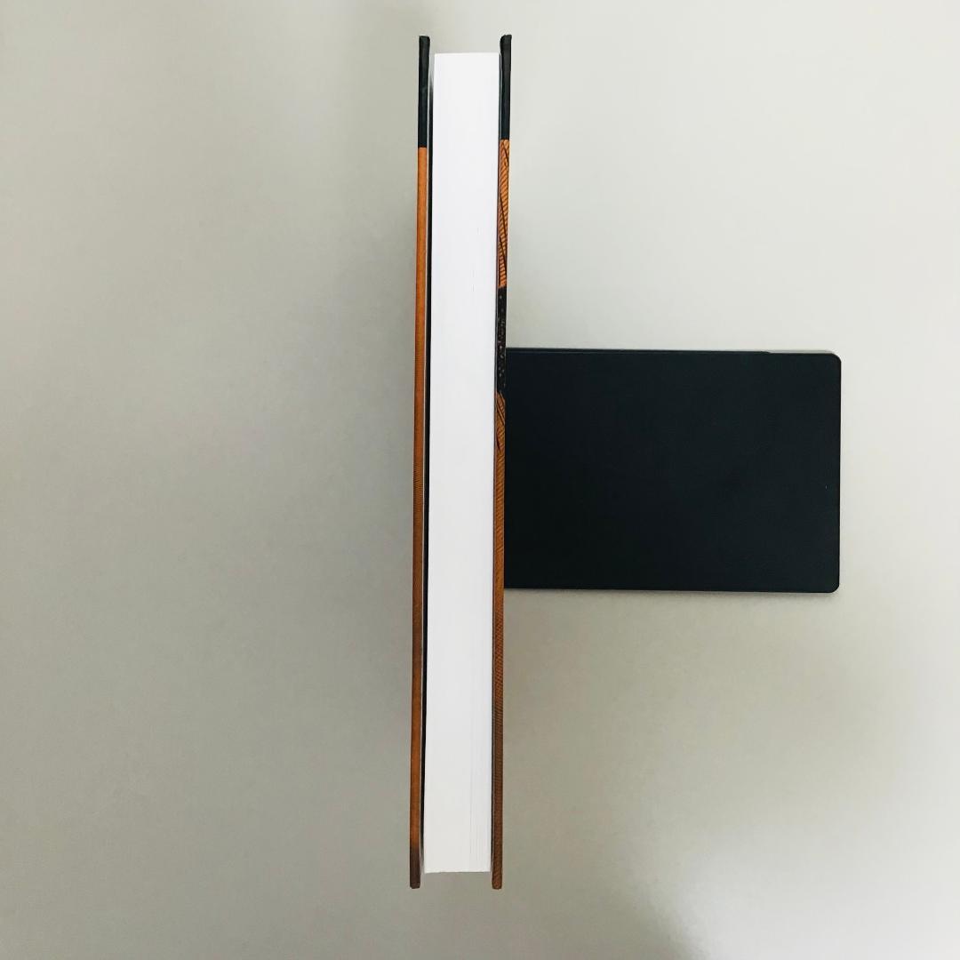 【洋書・美品】What's Wrong with my Mouse?