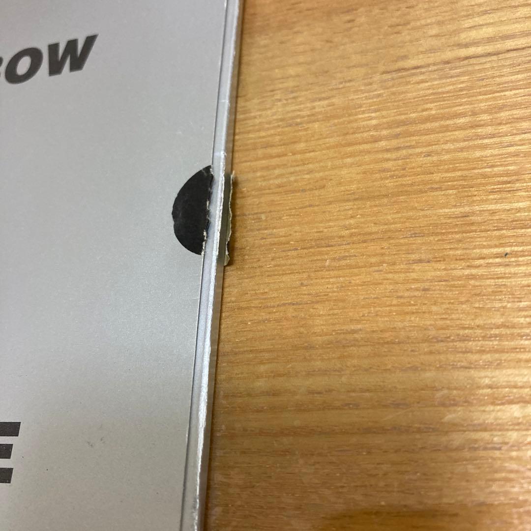 Merzbow Hole 限定　貴重　メルツバウ　レア　秋田昌美