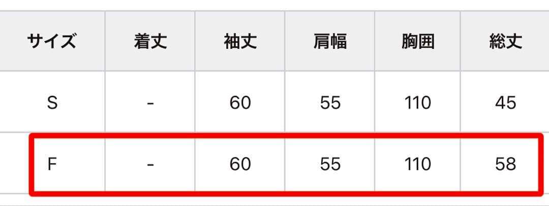 新品⭐︎ Ray Cassinダブルジップファーブルゾン レイカズン