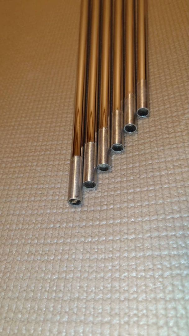 PROJECT X 5.5 掲載本日まで 最終値下げ