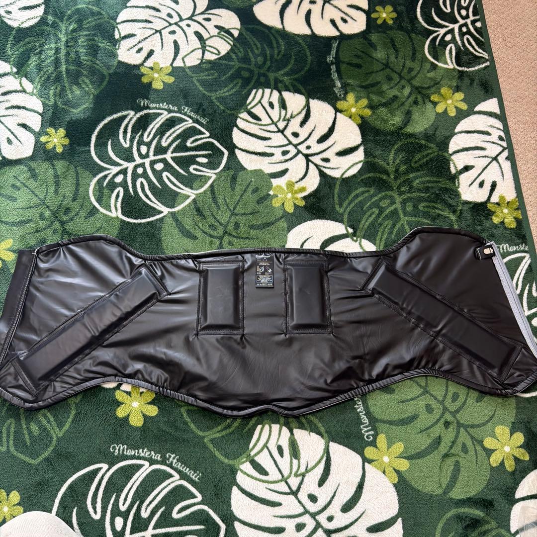 タイムセール！21時まで‼️SIXPAD メディカルコア（M）コントローラー付き