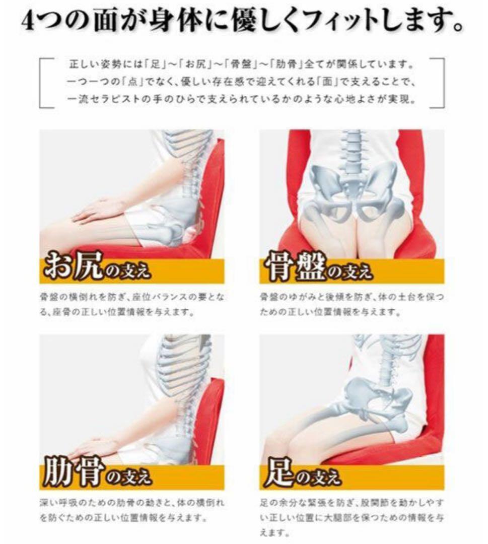 Pinto 快適な座姿勢に自然に導くバランスサポートクッション ★新品★ブラウン