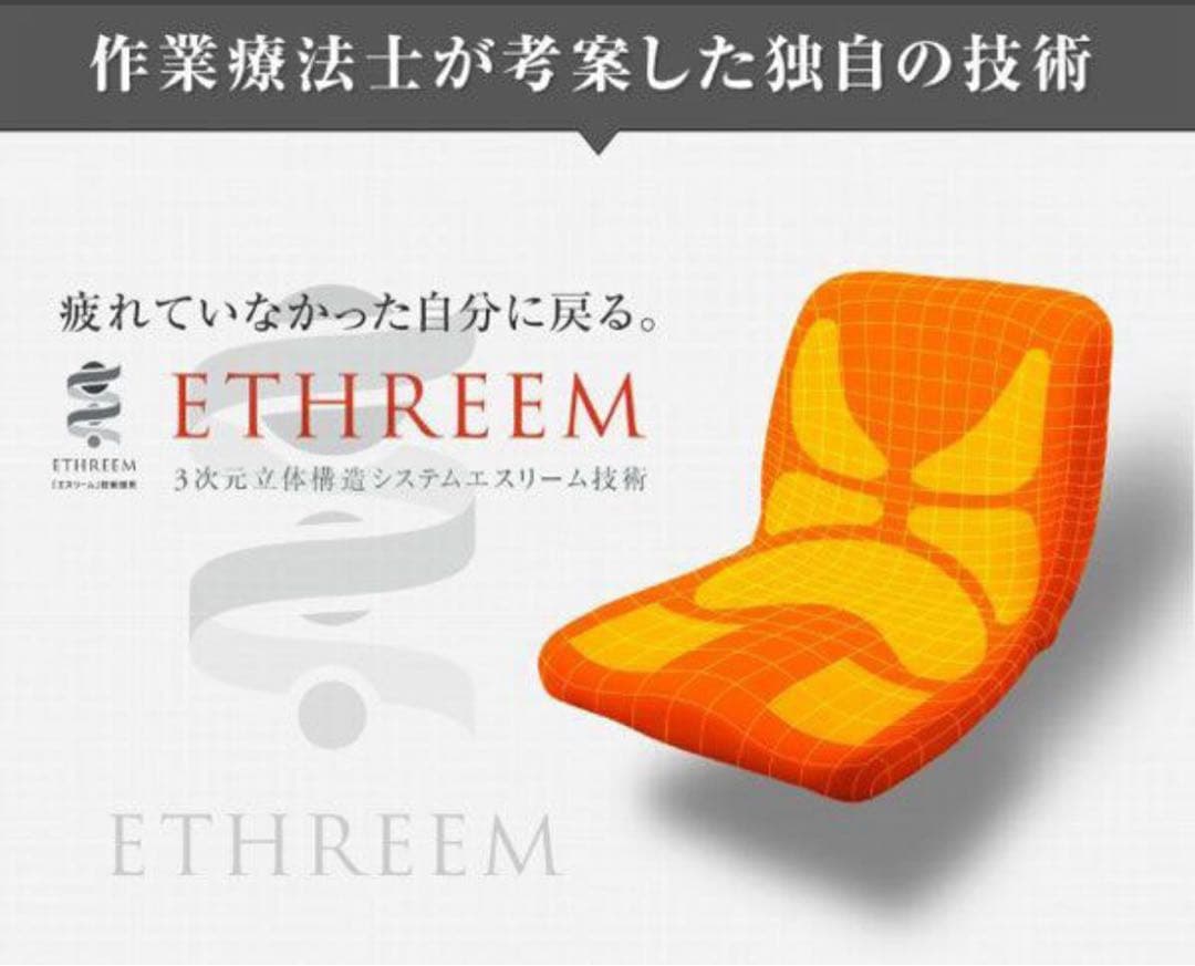 Pinto 快適な座姿勢に自然に導くバランスサポートクッション ★新品★ブラウン