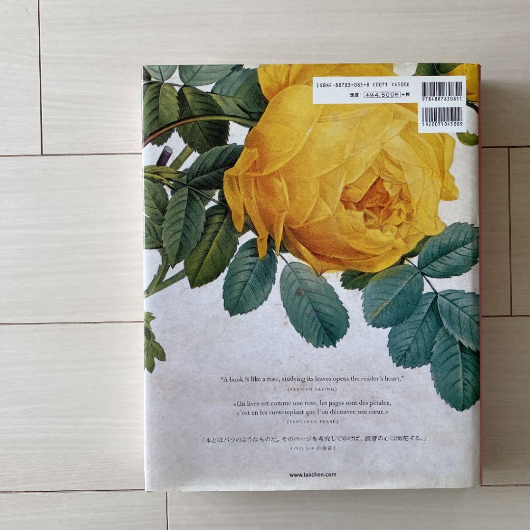 バラ　ルドゥーテ