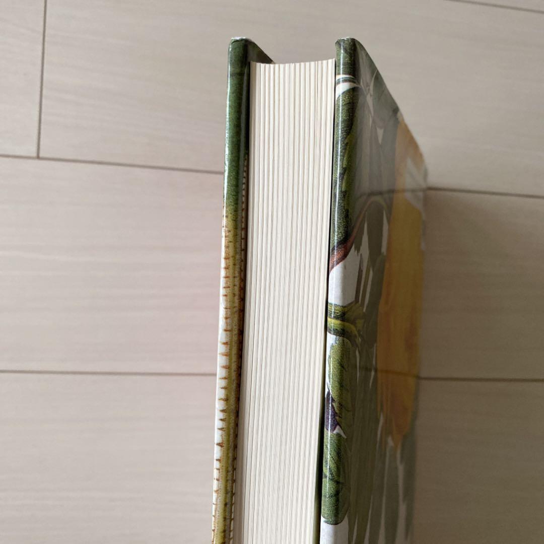 バラ　ルドゥーテ