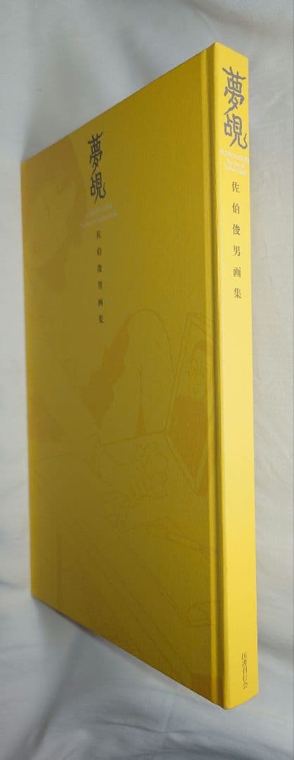 【初版・帯付】『夢覘 = YUMENOZOKI : 佐伯俊男画集』（国書刊行会）