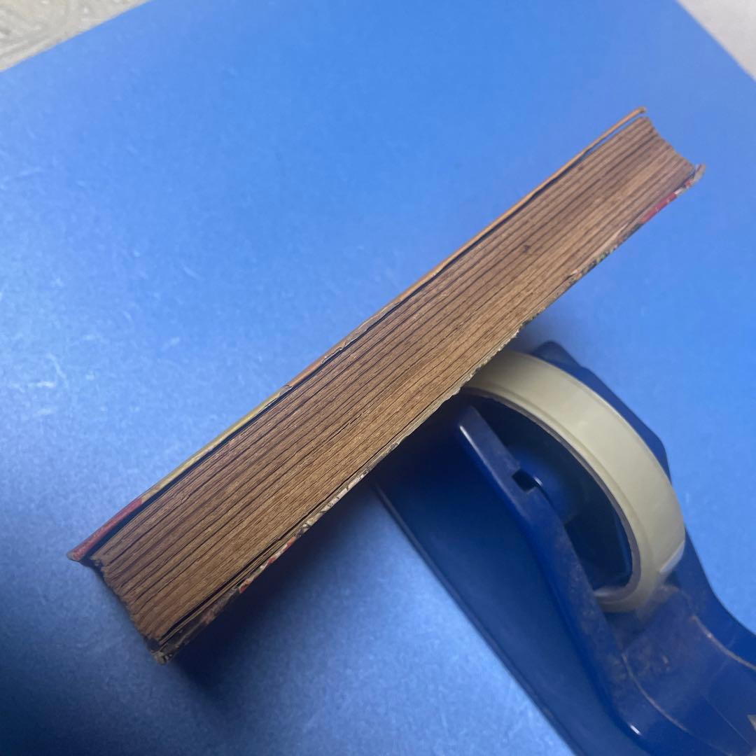 少年獅子王　東浦美津夫　鶴書房