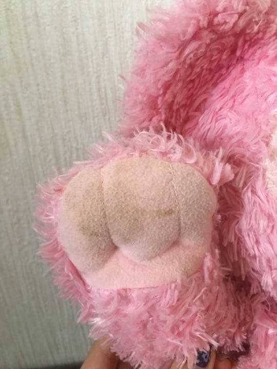 ☆レア☆ WDW ダッフィー ピンク