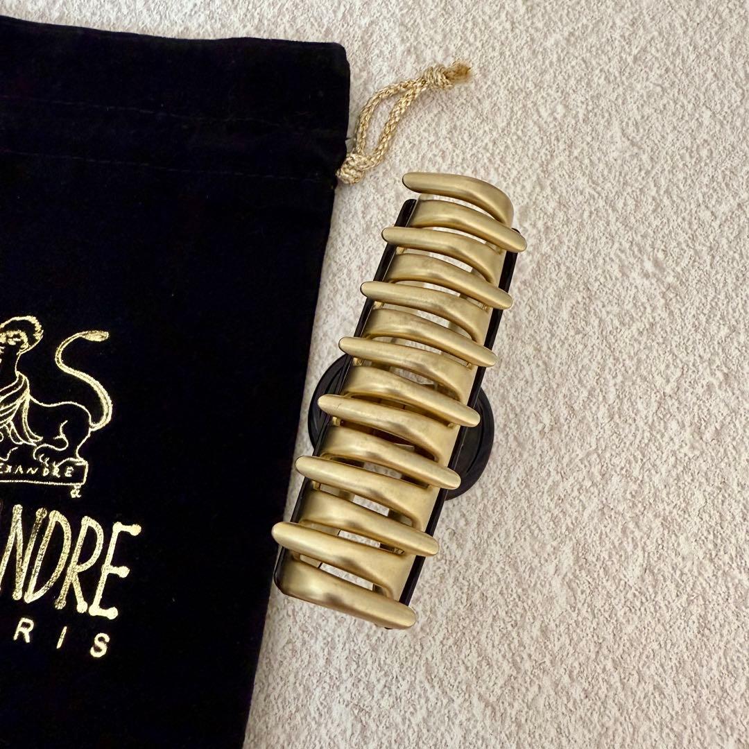 【最終価格】ALEXANDRE DE PARIS ブラックへアクリップMサイズ