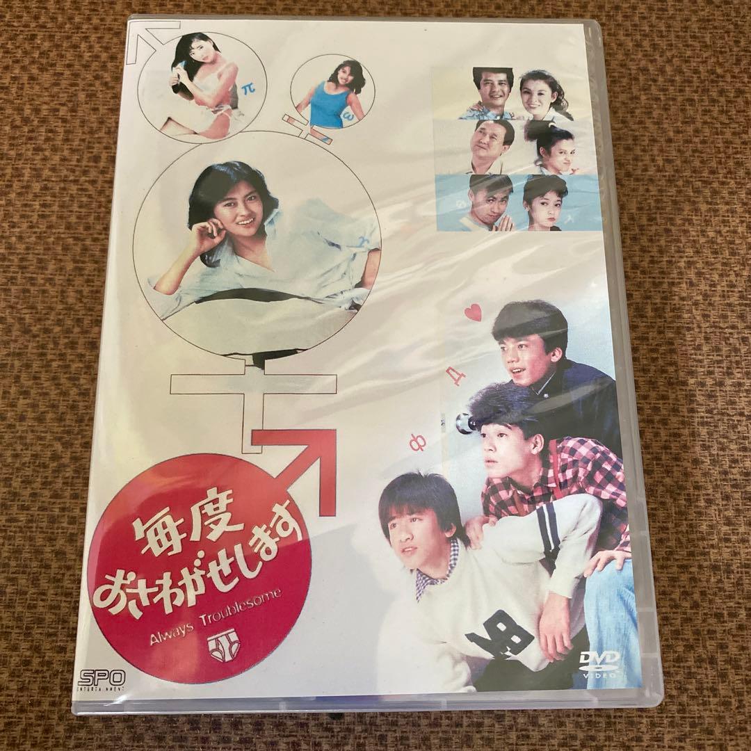 毎度おさわがせします DVD 6枚セット
