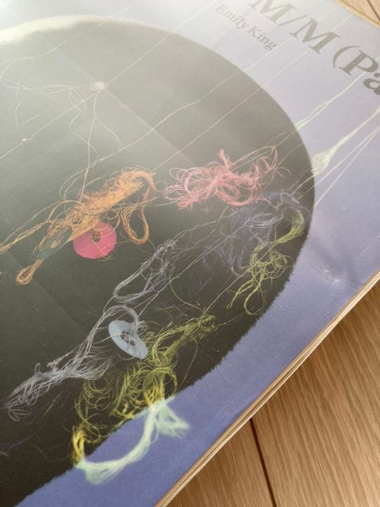 希少❗️作品集【M to M of M/M (Paris) 】エムエムパリス