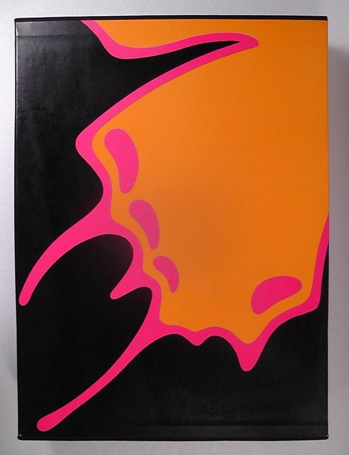 世界のアゲハチョウ 図版編 解説編 計２冊セット 五十嵐邁 ★1979年 初版