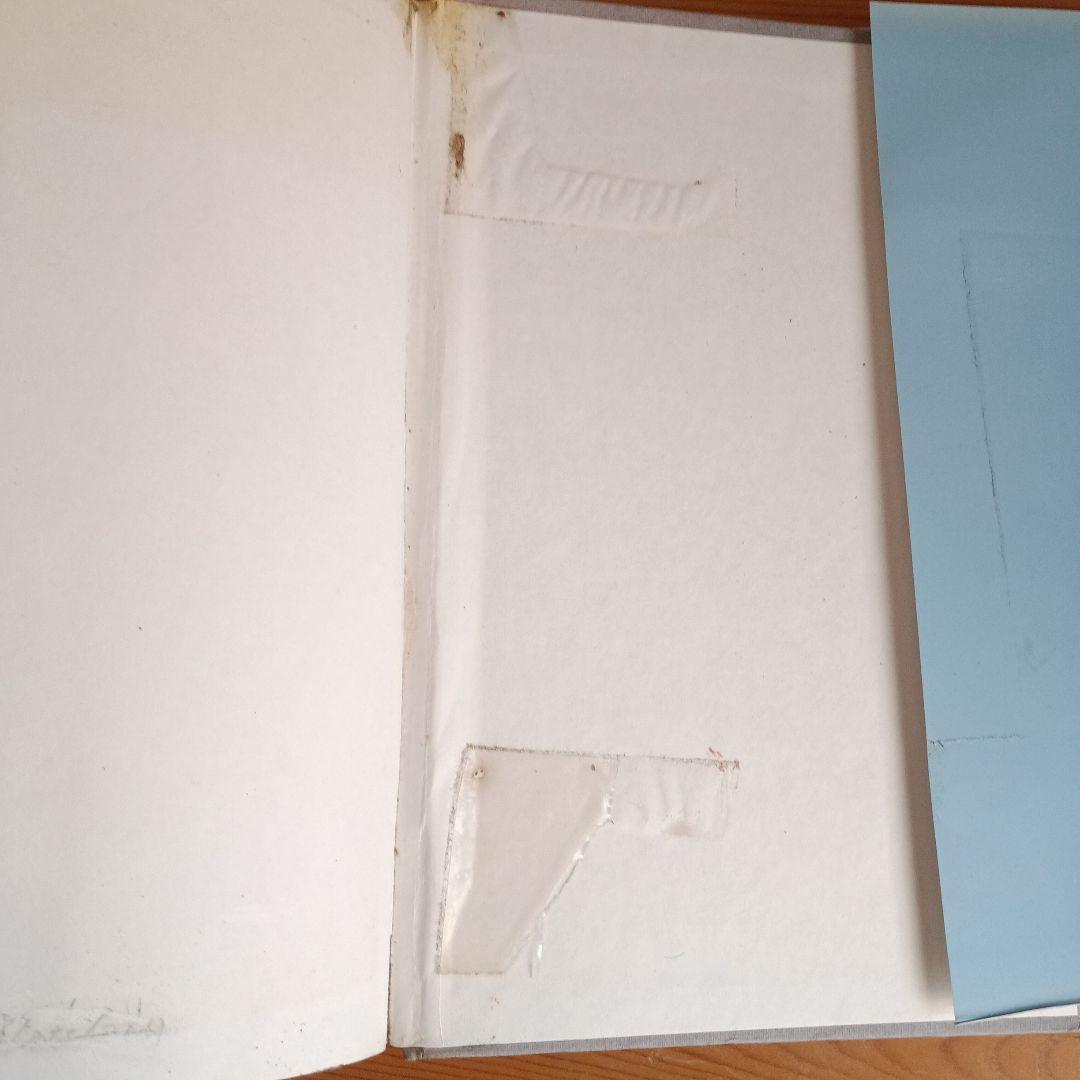 洋書 HebrewEnglish Lexicon of The Old Testa