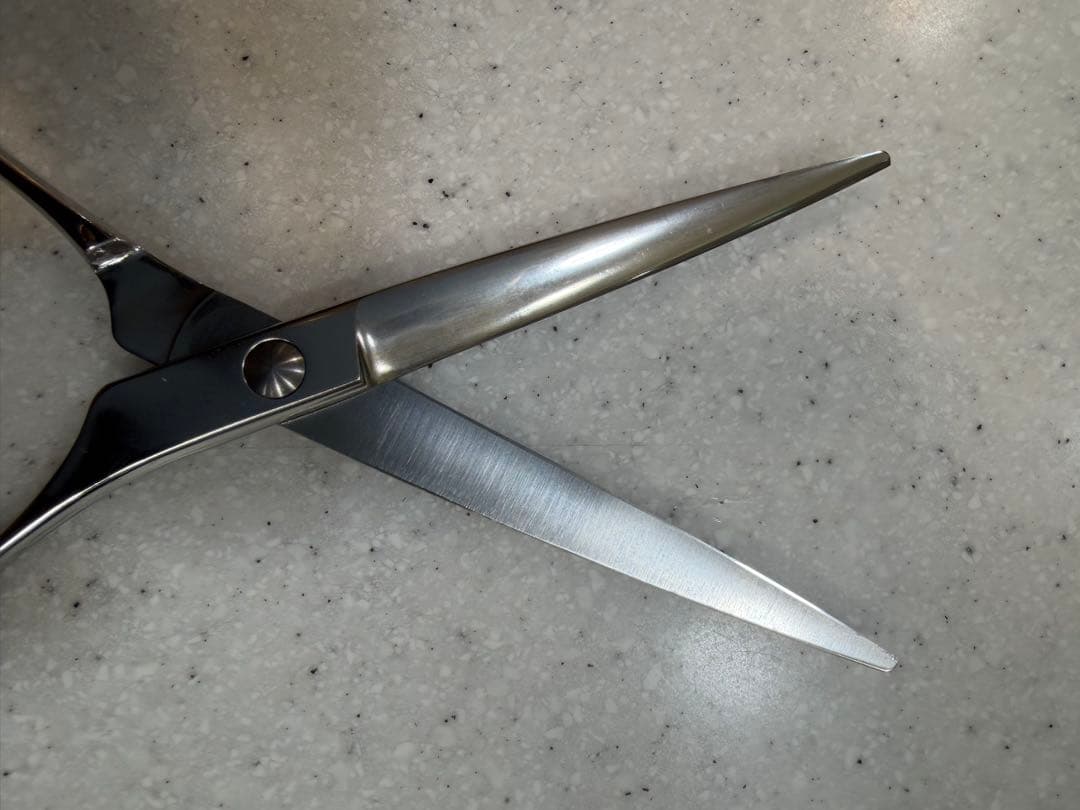 柳生REOX 6.5インチ シーザー【最終値下げ中】