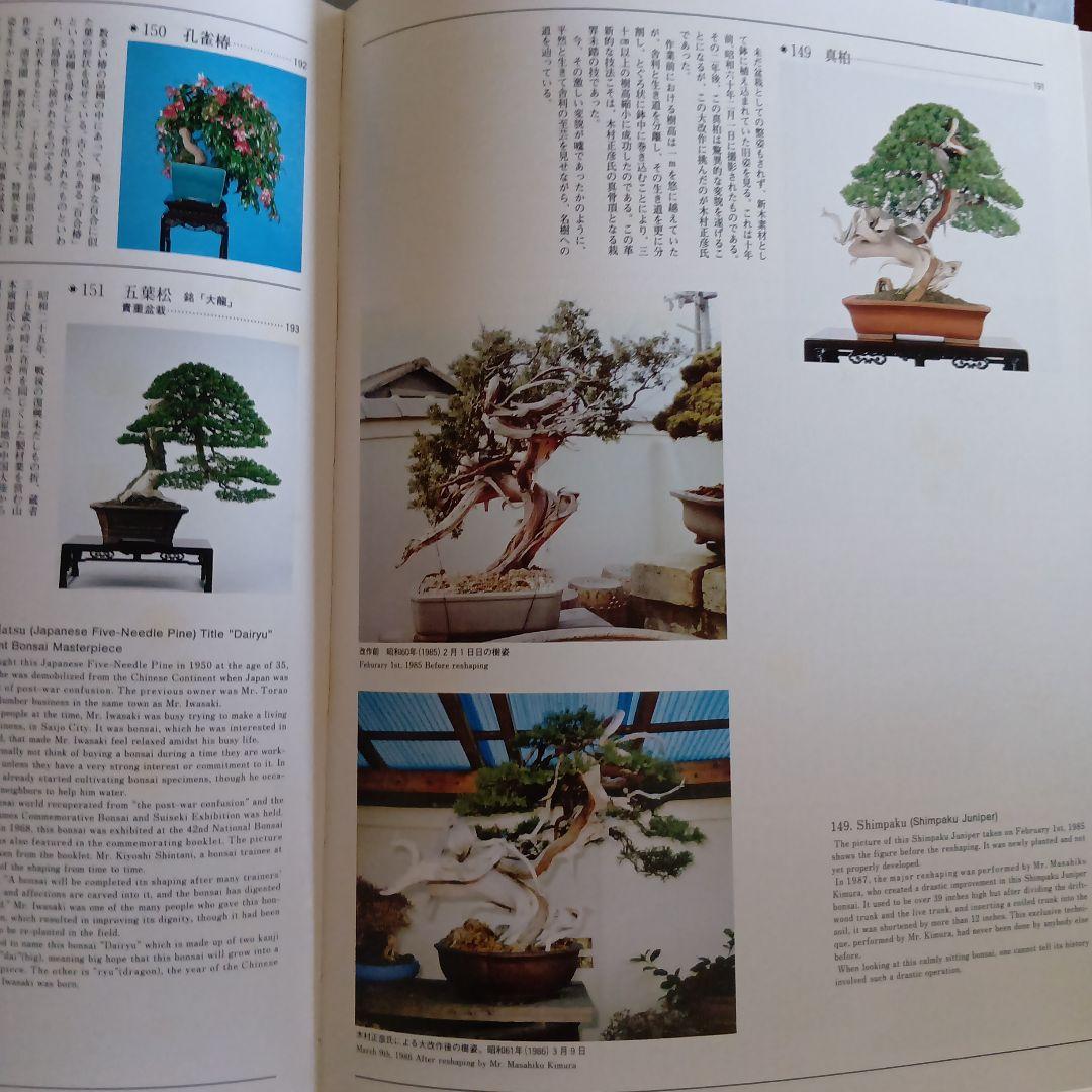 高砂庵 盆栽作品集