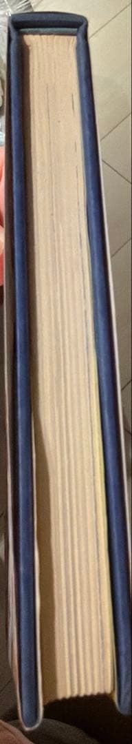 少女椿　丸尾末広　改訂前　第八版発行　レア