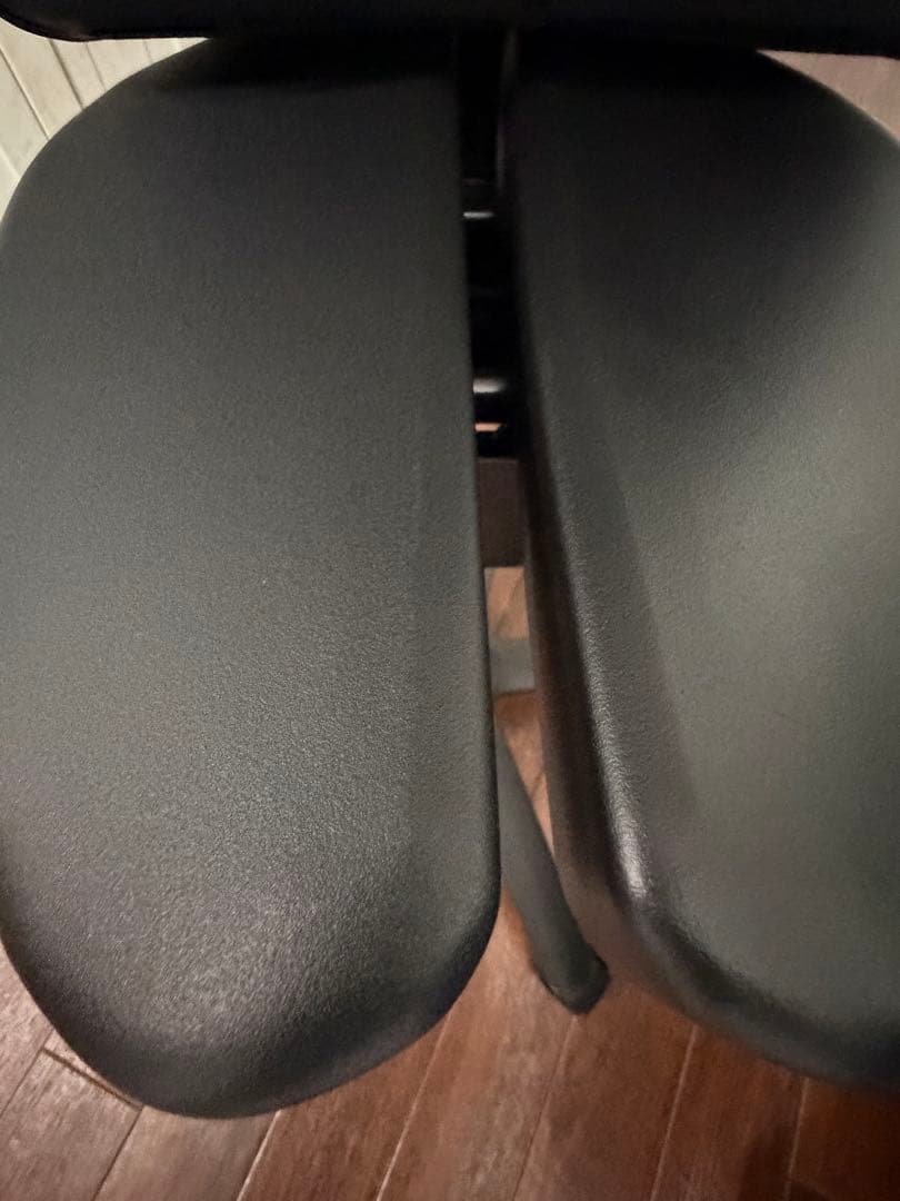 Ayur Chair（アユールチェア） 姿勢矯正チェア 専用シート付き