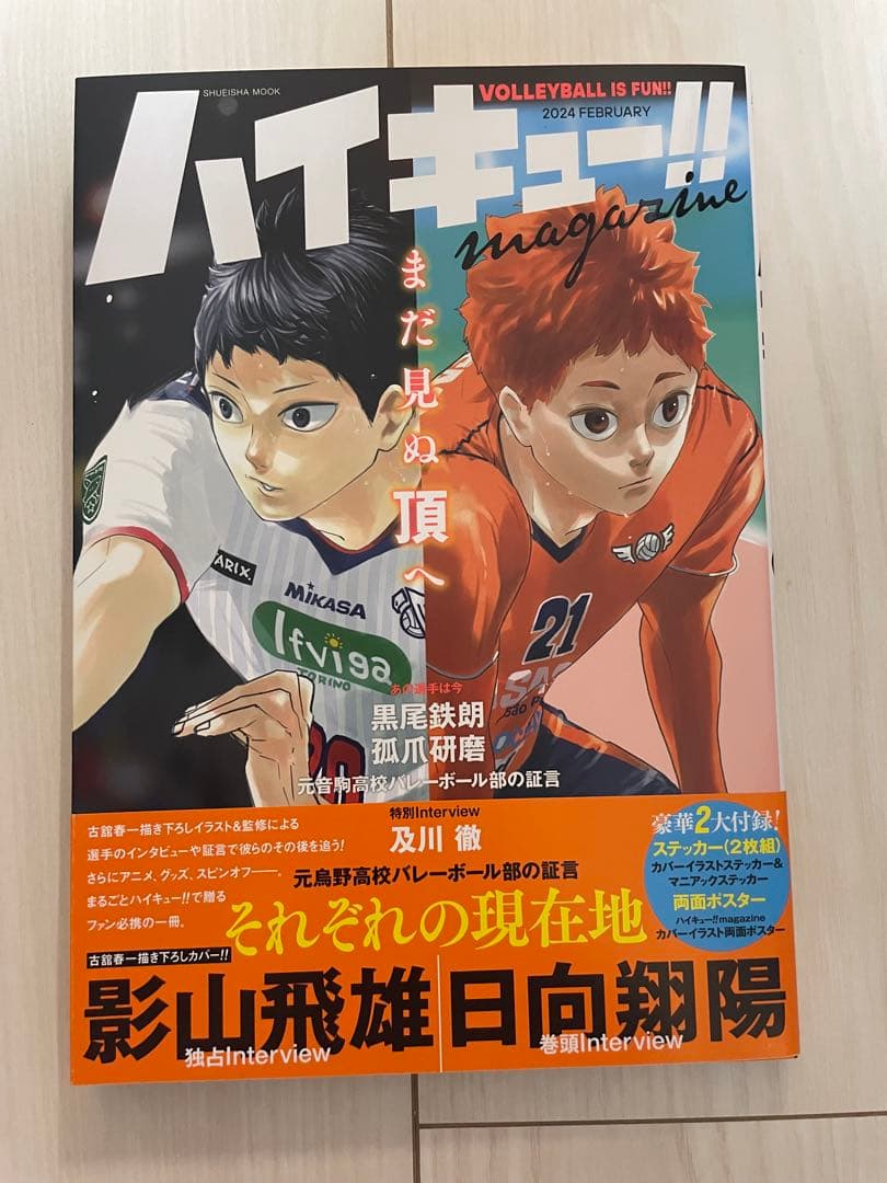 ハイキュー　ほぼ全巻　ガイドブックなど関連書籍セット