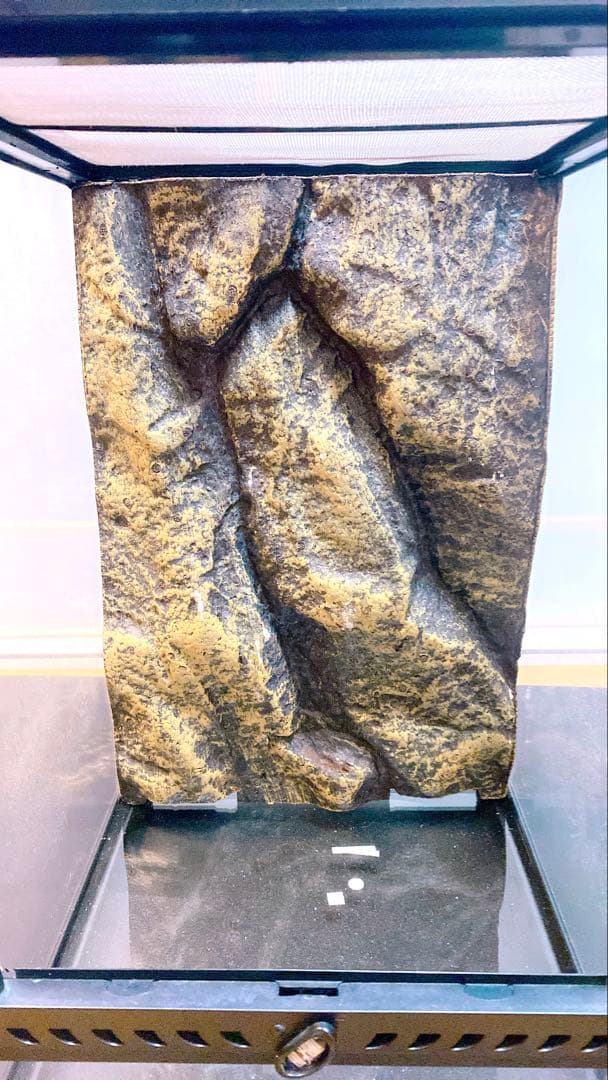 マ*ス様 爆安！グラステラリウム3045 レプティギア300 2個セット