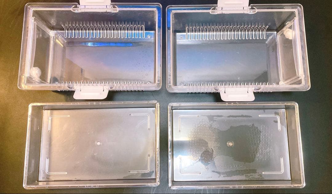 マ*ス様 爆安！グラステラリウム3045 レプティギア300 2個セット