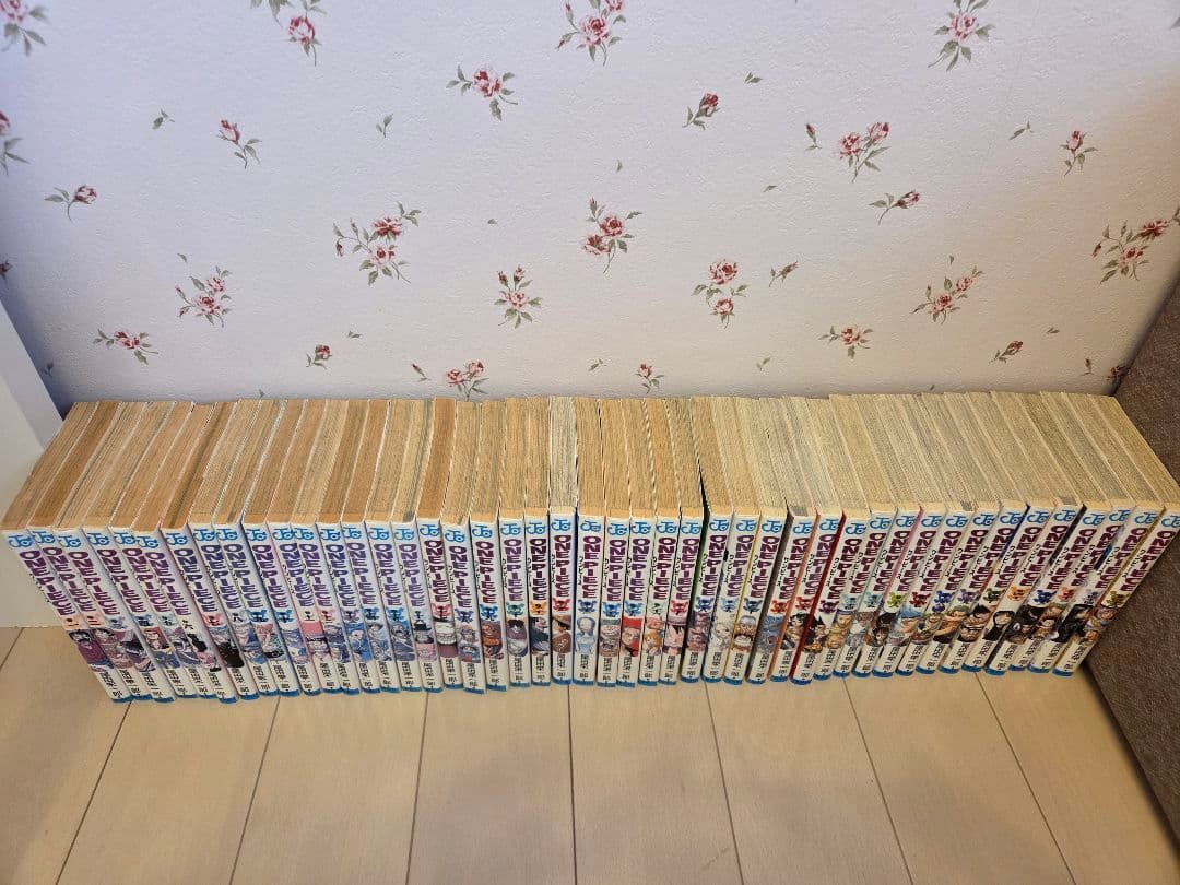 ONE PIECE 全巻セット（1巻～113巻）ワンピース 最新巻