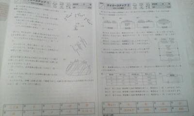 サピックス＊デイリー サピックス＊６年＊理科／全３８回 完全版＊２０２３年