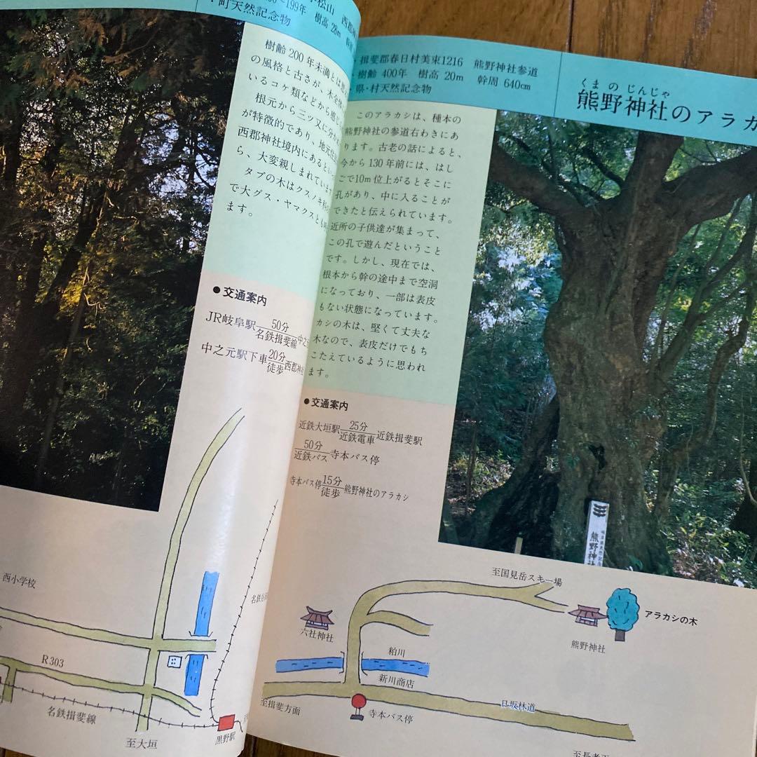 交渉中⚠️#484：ぎふの名山名木　岐阜の自然観察ガイドシリーズ①