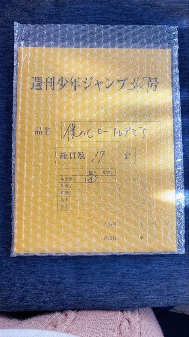 ヒロアカ　最終話　最終話まるごとデジタル原稿プリント mini