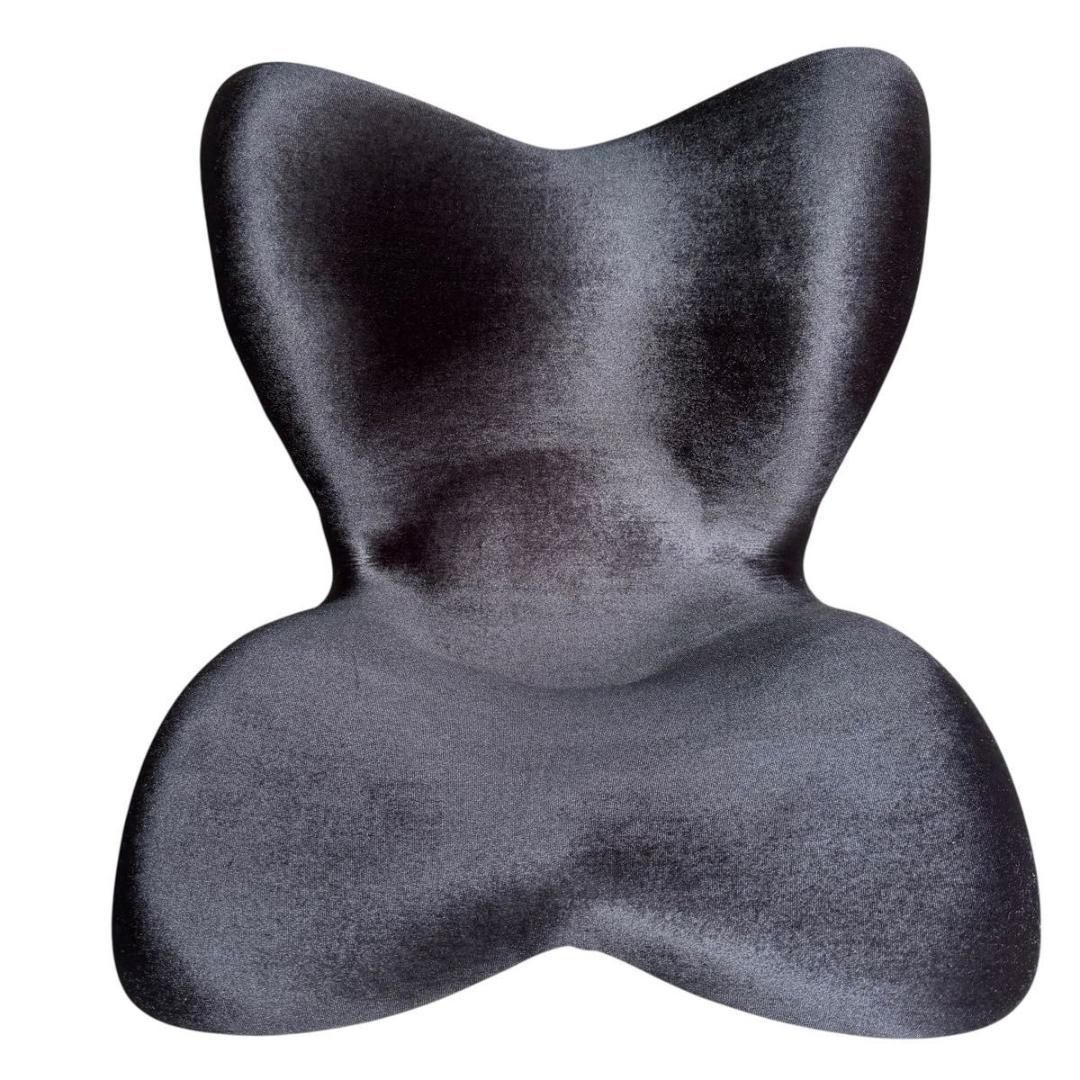 【極美品】MTG STYLE premium DX 姿勢矯正シート 15-9